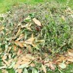 Green wastes